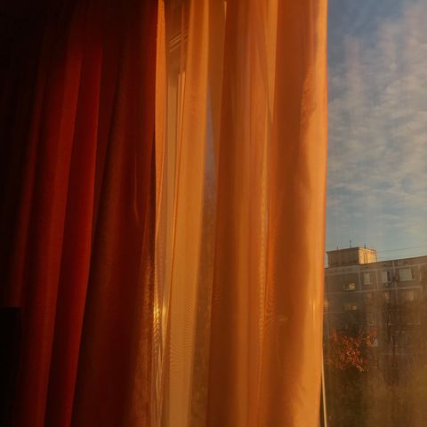 Portrait of a breathwork teacher by a sunlit window